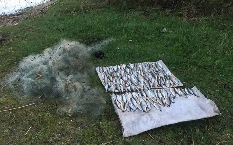 На одному з водосховищ Житомирщини виявлено порушників рибальства: збитки – близько 300 тис. грн