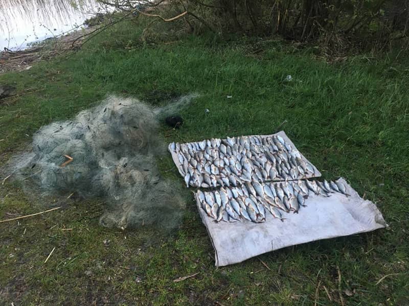 На одному з водосховищ Житомирщини виявлено порушників рибальства: збитки – близько 300 тис. грн