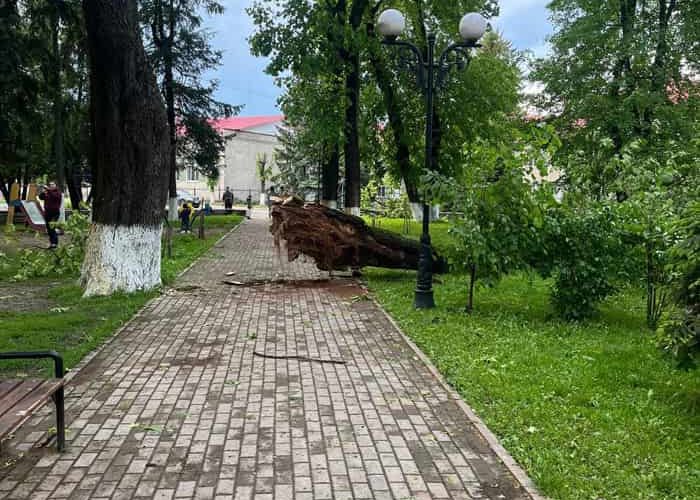 В Овруцькому парку шквальний вітер поламав дерева (ФОТО)