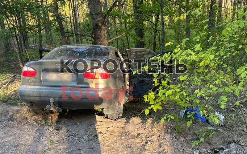 Неподалік Коростеня львів’янка на Daewoo з’їхала в кювет та врізалась в дерево