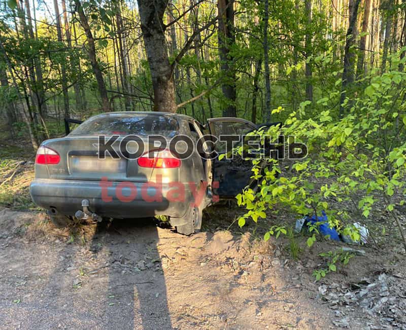 Неподалік Коростеня львів’янка на Daewoo з’їхала в кювет та врізалась в дерево
