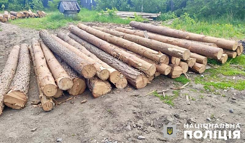На Олевщині 27-річний чоловік привіз на переробку майже 80 колод сосни без належних документів