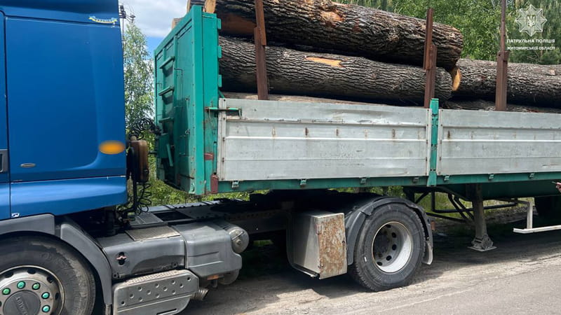 На трасі в Коростенському районі патрульні зупинили вантажівку з деревиною: водій не мав дозвільних документів
