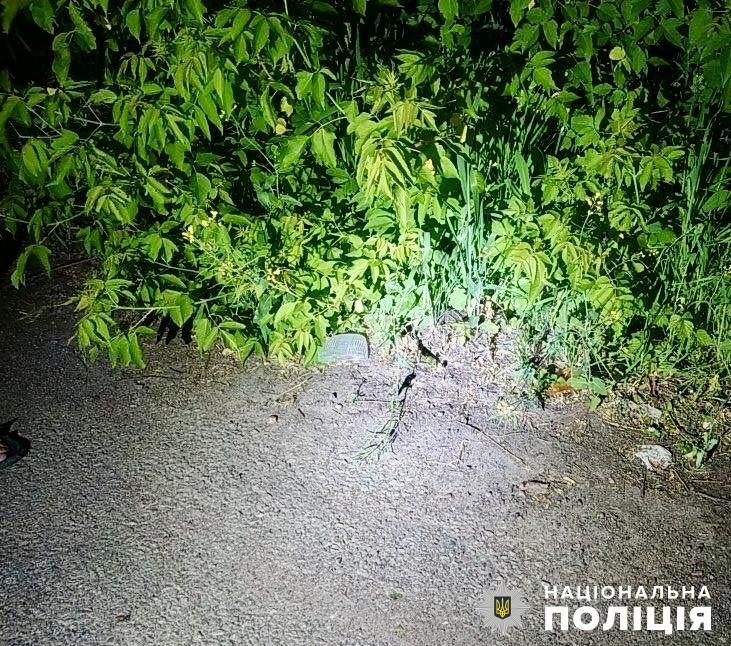 У селищі на Овруччині 23-річний мопедист збив пішохода: потерпілого госпіталізували