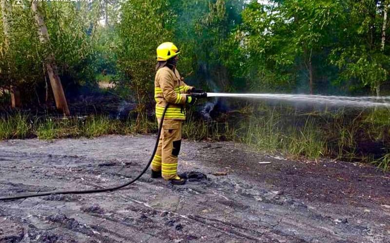 У Коростені пожежа ледь не дісталася житлових будинків