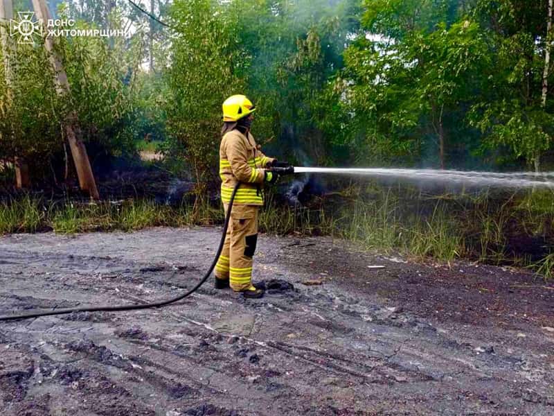 У Коростені пожежа ледь не дісталася житлових будинків