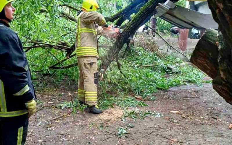 На підприємстві у Коростені рятувальники відкачували воду, а в центрі міста гілка з дерева впала на машину