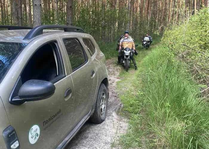У заповіднику на Овруччині затримали порушників, які збирали чорницю