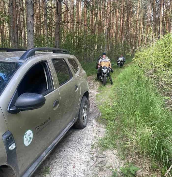 У заповіднику на Овруччині затримали порушників, які збирали чорницю