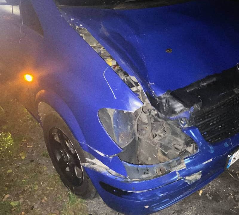 На території одного з лісництв Житомирщини водій Mercedes збив лося: тварина загинула
