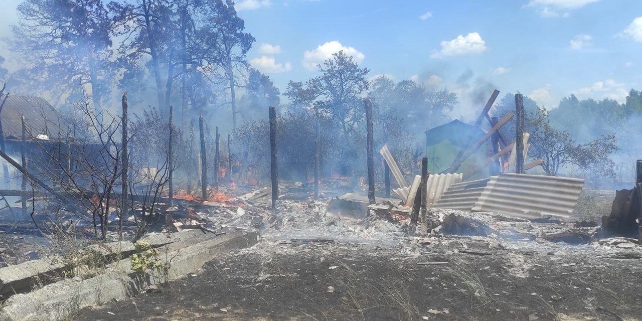 Масштабна пожежа на Овруччині: горіли будинок, 4 господарчі будівлі та суха рослинність