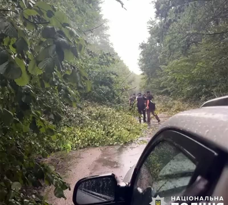 На території однієї з громад Коростенщини на дорогу впали кілька дерев, рух транспорту був заблокований
