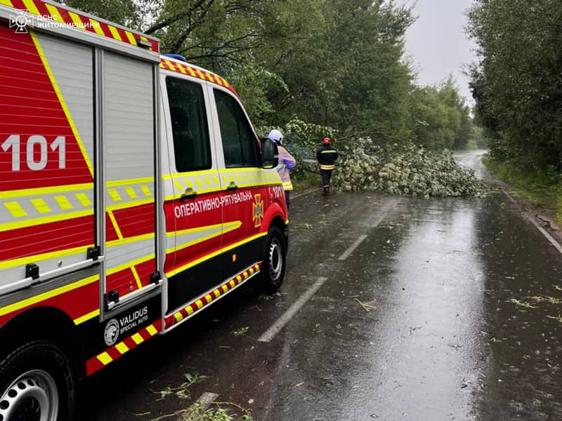 Через негоду на Овруччині впало дерево та пошкодило лінії електропередач