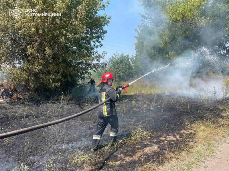 Минулими вихідними в Житомирській області рятувальники 16 разів виїжджали ліквідовувати пожежі в екосистемі