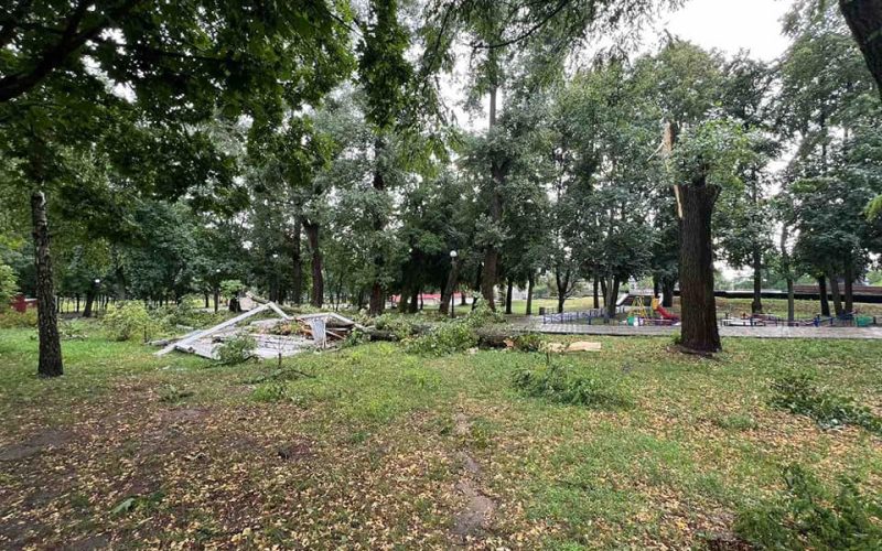 Повалені дерева, паркани, дахи – Малинщиною пронісся буревій