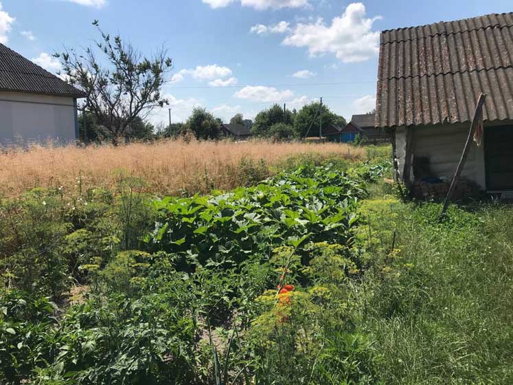 94-річна учасниця колективу “Бовсунівські бабусі” з Коростенщини обробляє город, шиє та любить гарно одягатися