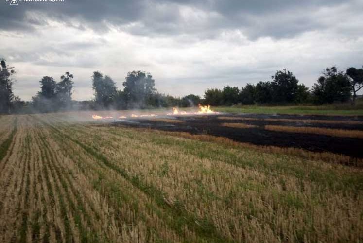 На території Ушомирської громади рятувальники ліквідовували загоряння сухої трави