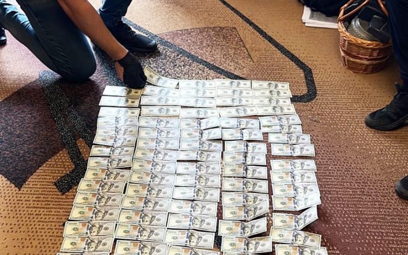 У Житомирській області судитимуть посадовців, які заволоділи майже 40 земельними ділянками