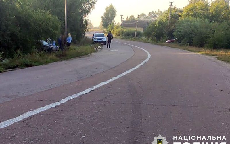 На автодорозі Копище-Олевськ КІА з’їхала в кювет та перекинулась: загинув 17-річний пасажир
