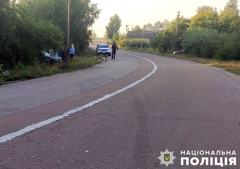 На автодорозі Копище-Олевськ КІА з’їхала в кювет та перекинулась: загинув 17-річний пасажир