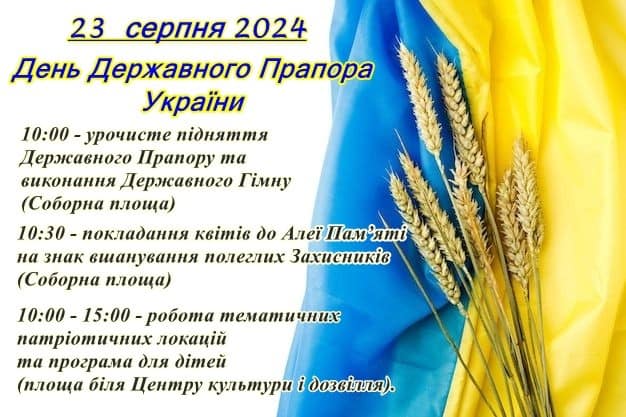 Підняття прапору, покладання квітів, турніри – урочистості до Дня Прапора та Дня Незалежності у Малині
