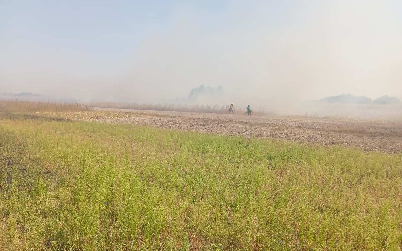 У селі на Народиччині рятувальники ліквідовували займання сухої трави