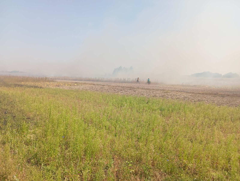 У селі на Народиччині рятувальники ліквідовували займання сухої трави
