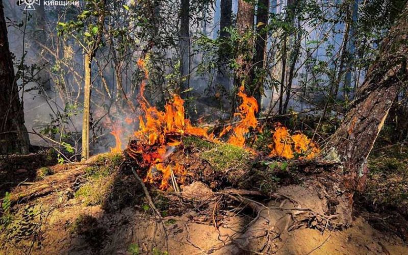 У Чорнобильській зоні виник новий осередок займання, а в Коростенському районі минулої доби загасили десятки пожеж