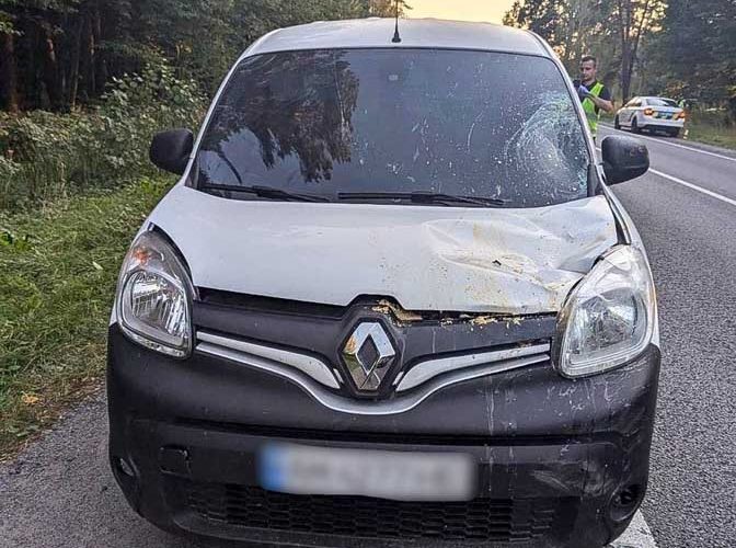 На Рівненщині 20-річний житель Житомирщини збив велосипедиста, потерпілий загинув