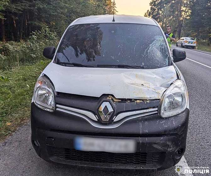 На Рівненщині 20-річний житель Житомирщини збив велосипедиста, потерпілий загинув