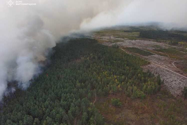 На території природного заповідника в Коростенському районі пожежу гасили більше сотні людей