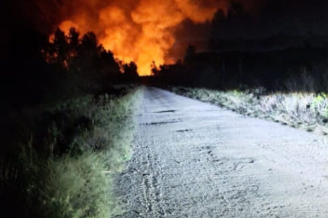 У Чорнобильській зоні восьму добу поспіль вирує масштабна пожежа