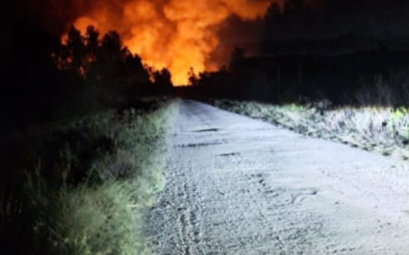 У Чорнобильській зоні восьму добу поспіль вирує масштабна пожежа