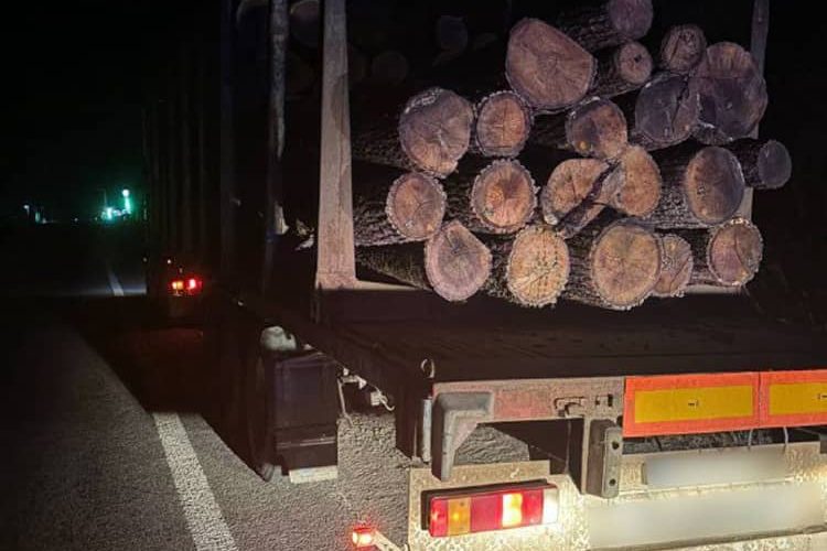 На Коростенщині патрульні зупинили вантажівку з деревиною та виявили розбіжності в документації