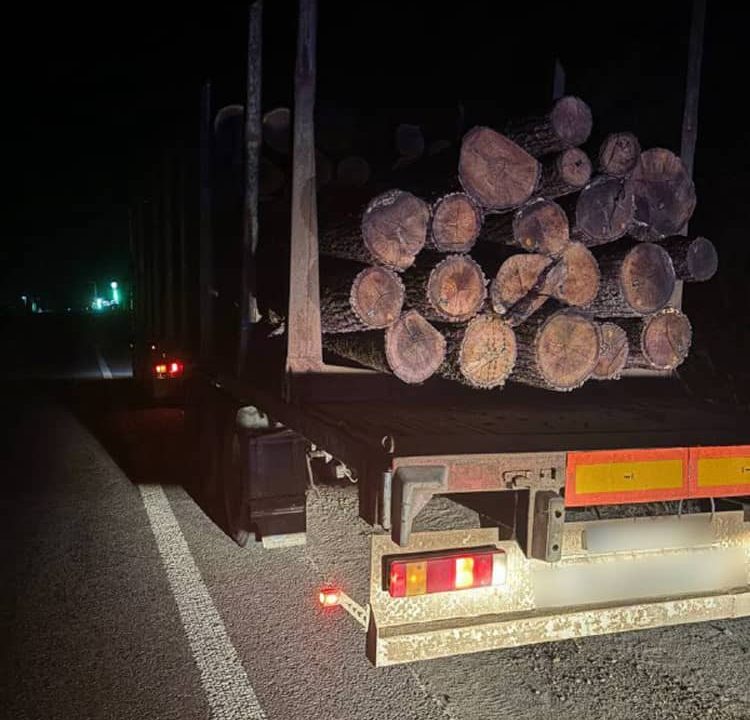 На Коростенщині патрульні зупинили вантажівку з деревиною та виявили розбіжності в документації