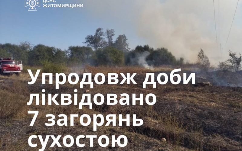 У селі на Олевщині горів сухостій: вогонь наближався до житлових будинків