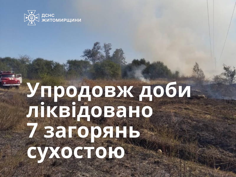 У селі на Олевщині горів сухостій: вогонь наближався до житлових будинків