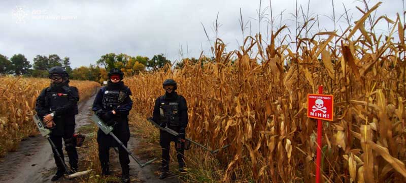 Розмінування Житомирщини: з початку року знищено понад 4 тис. вибухонебезпечних предметів