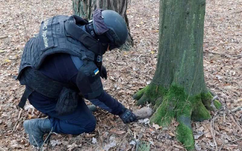 У селі Ушомирської громади місцеві виявили мінометну міну