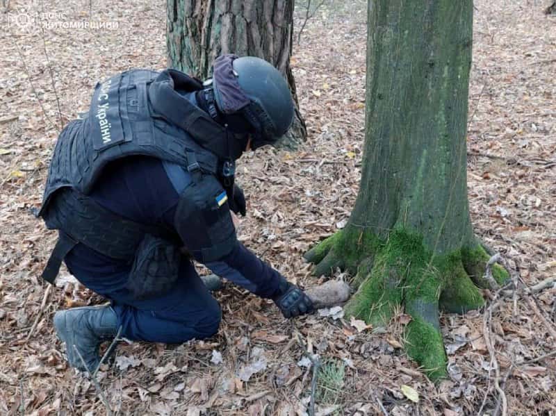 У селі Ушомирської громади місцеві виявили мінометну міну