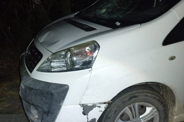 Поблизу Чоповичів Fiat збив пенсіонера, який ішов уздовж дороги