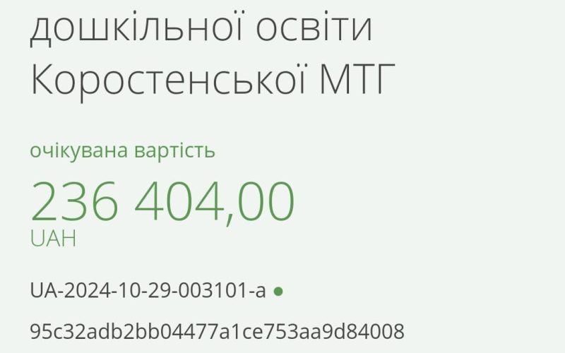 Відділ освіти Коростенської міської ради хоче придбати біндерів на понад 200 тис. грн
