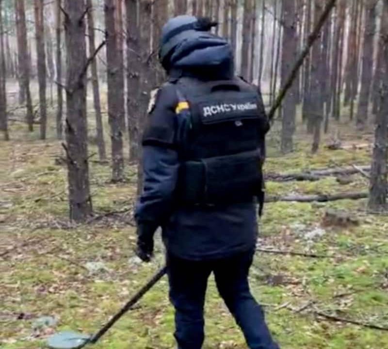 В лісі на Коростенщині люди знайшли касетний боєприпас — його знешкодили рятувальники