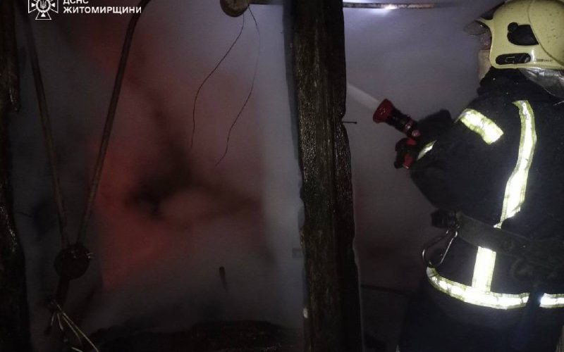 Пожежа у Народицькій громаді: рятувальники врятували сусідні будівлі від поширення полум’я