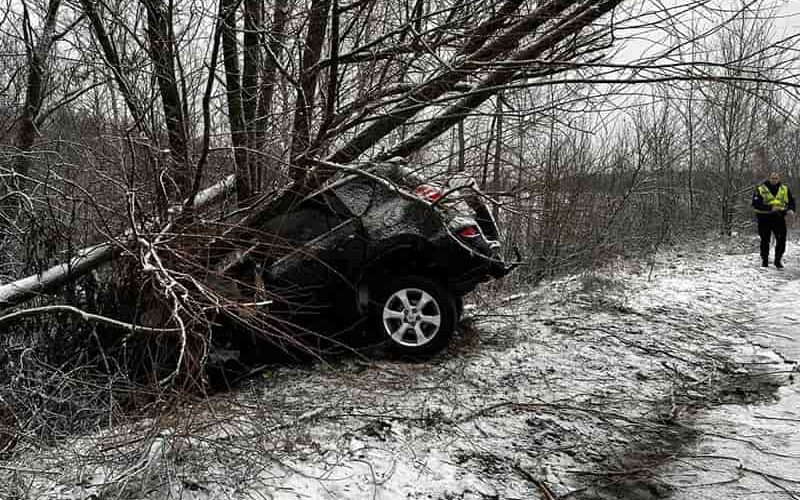 На Малинщині водій на Toyota злетів з дороги та врізався в дерево: одна людина загинула, інша — в реанімації