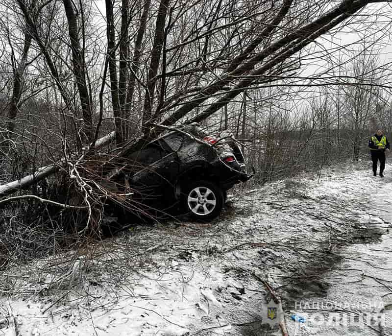 На Малинщині водій на Toyota злетів з дороги та врізався в дерево: одна людина загинула, інша — в реанімації