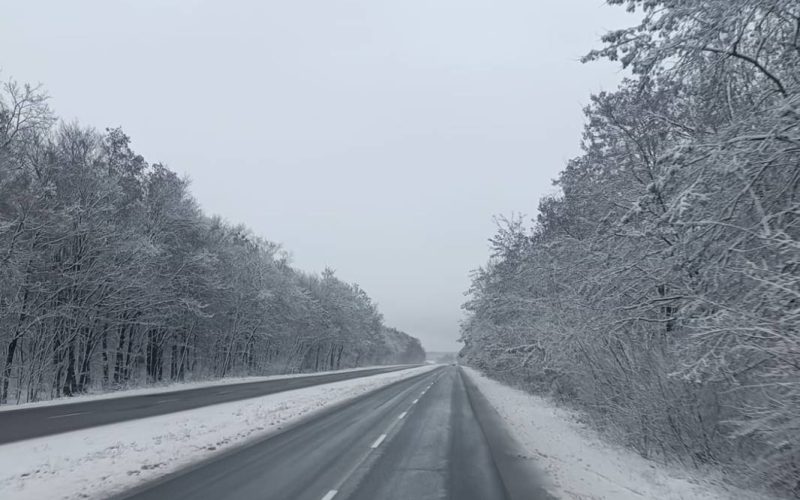 Циклон на Житомирщині: на дорогах області працювали понад 40 робітників та 33 спецмашини