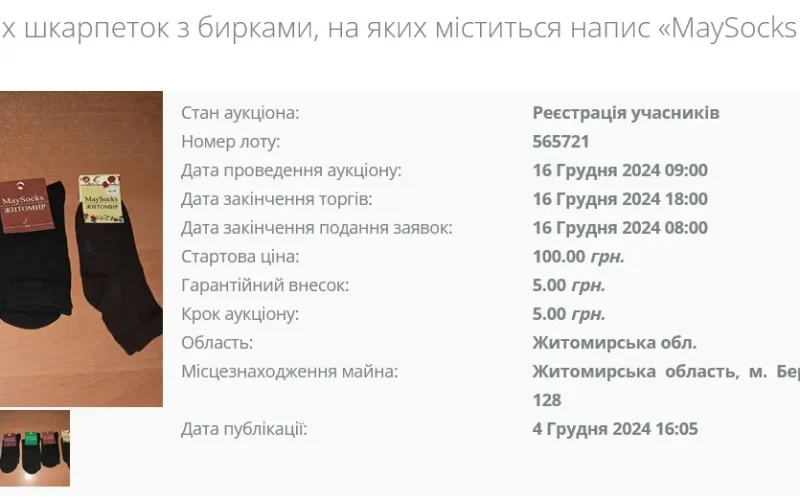 “Заарештували” п’ять пар шкарпеток боржника: як працює виконавча служба на Житомирщині і що відомо про аукціон