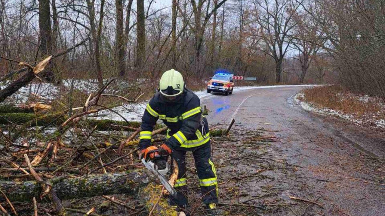 Повалені дерева та понад 20 населених пунктів без світла: наслідки негоди у Коростенському районі