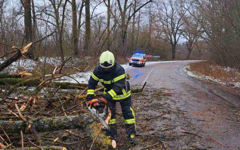 Повалені дерева та понад 20 населених пунктів без світла: наслідки негоди у Коростенському районі